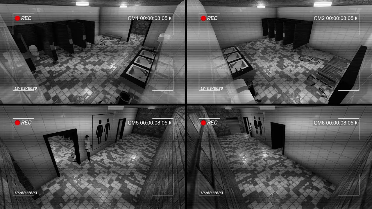 Subway Bathroom Security Cam - Record #2