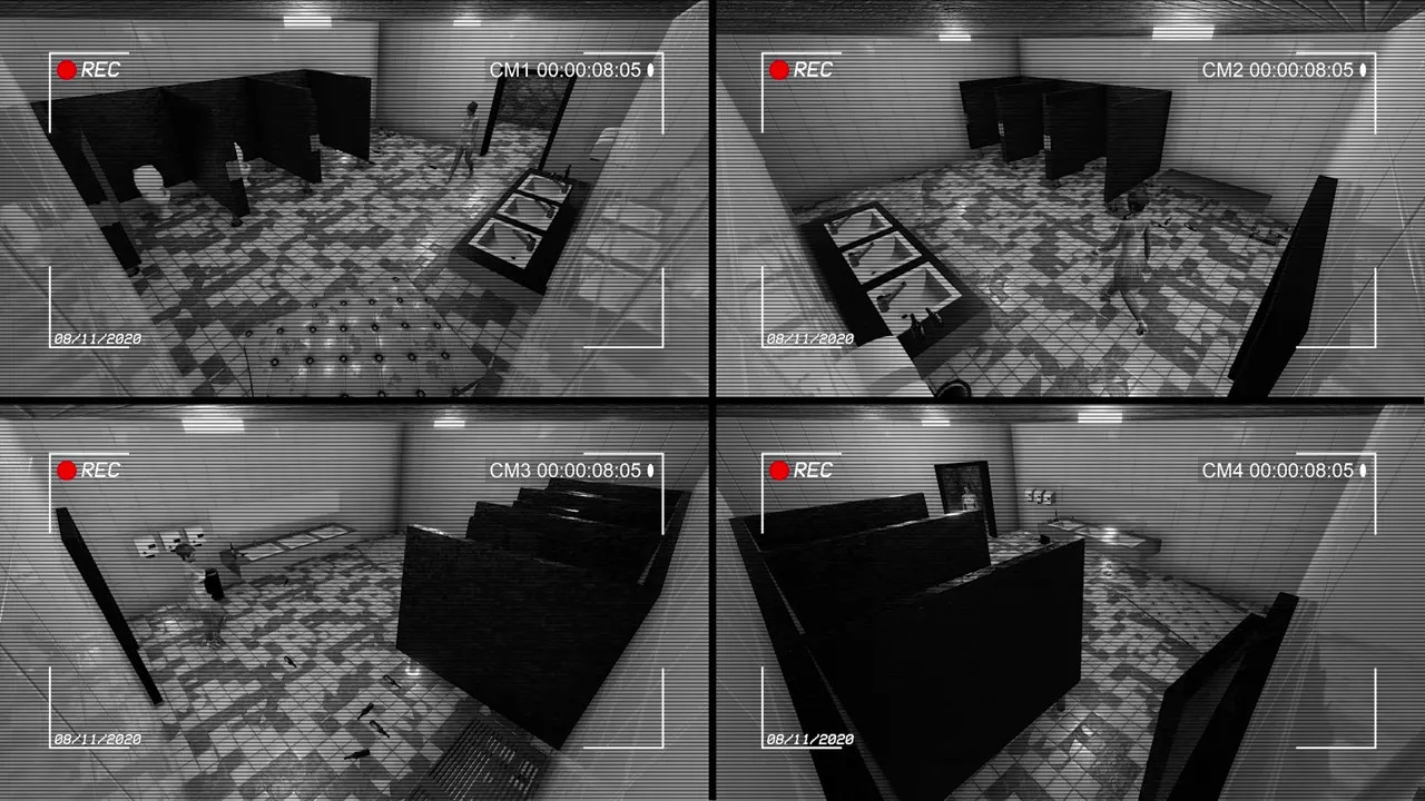 Subway Bathroom Security Cam - Record #4