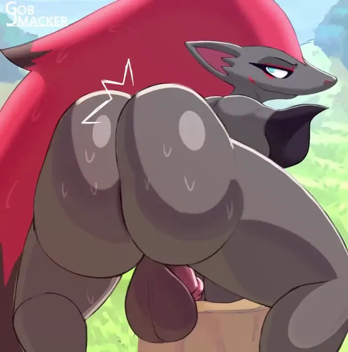 Zoroark wants some attention