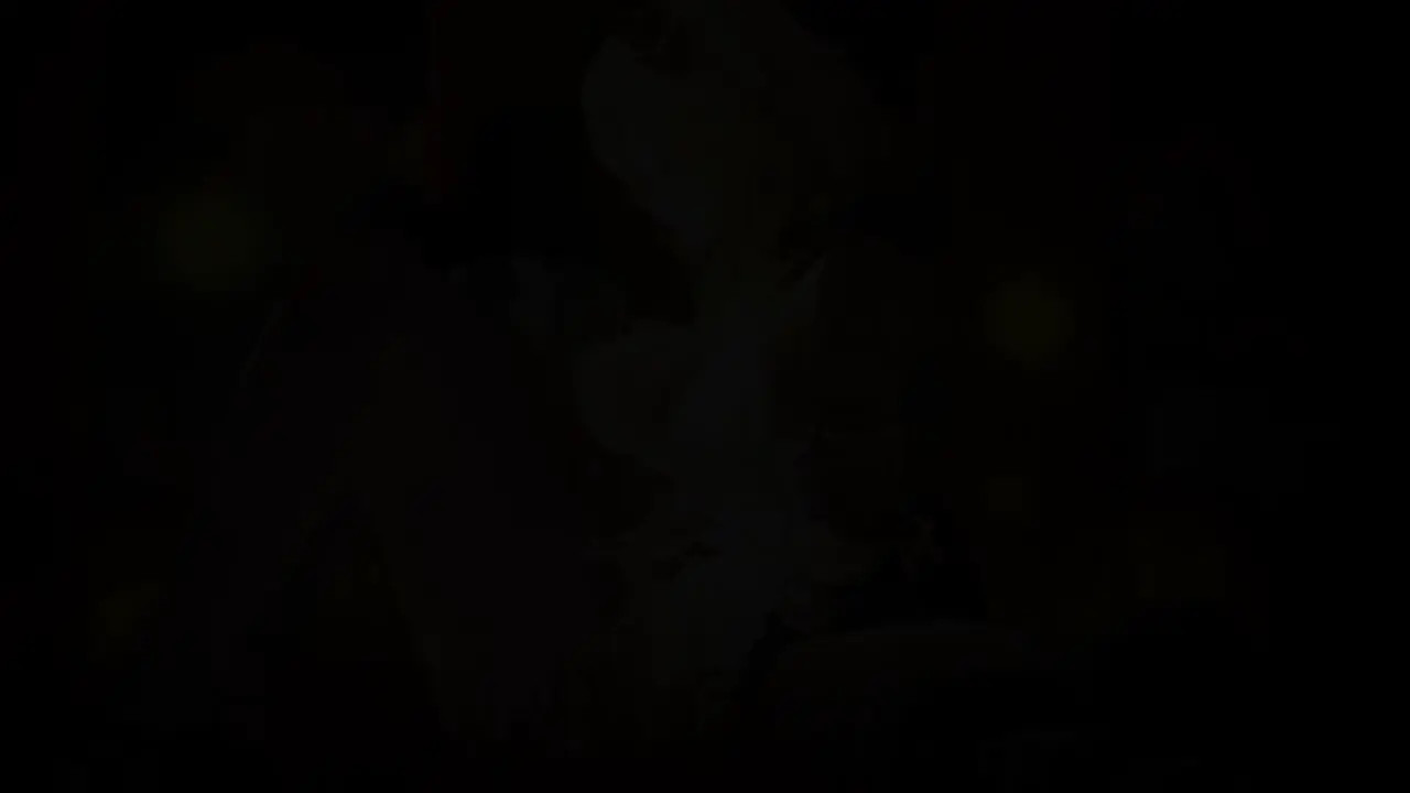 【Hentai Gentleman】2025.06 Aglaea-Sex HMV 4k60fps