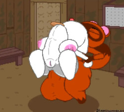 Tom trying out his lucky cat