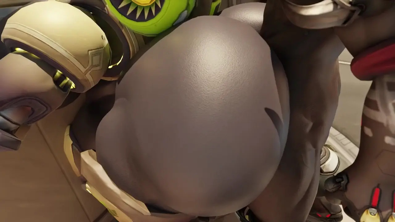 Orisa's Sparring Match『Snips456Fur』