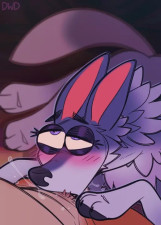 Gracie BJ『Dimwitdog』