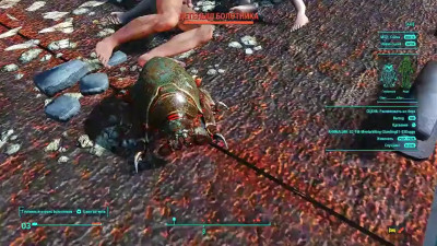 insemination of female humans