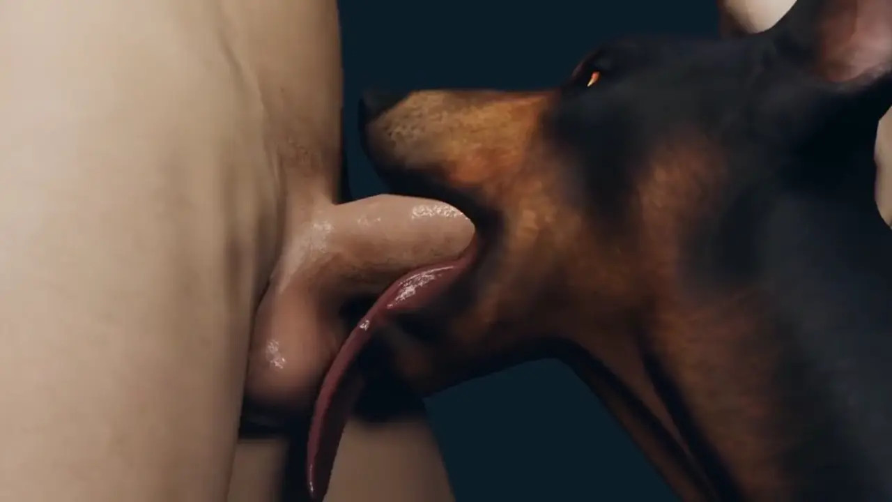 Dog's Favourite Bone - Furjoe