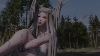 Bosmer Encounter  - For Skyrim MainMenuVideo Mod