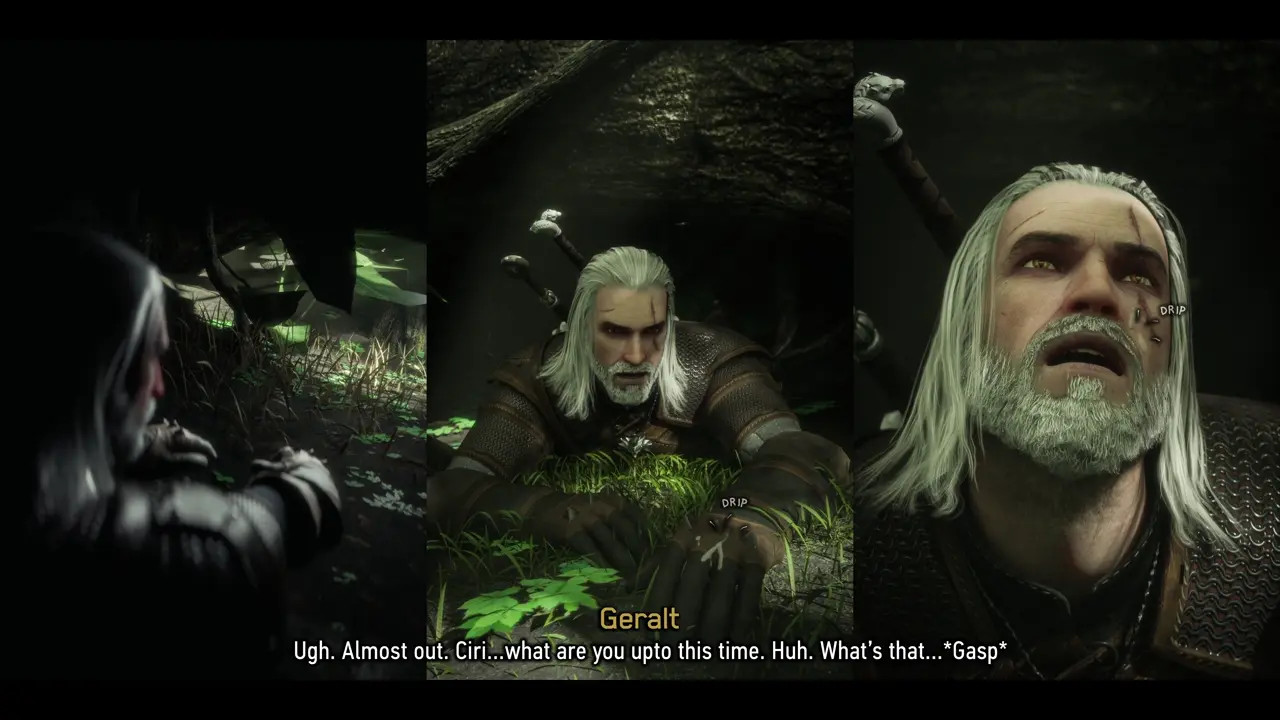 Ciri's Lesson (Comic)