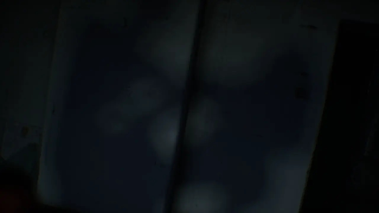 Rain Day (Short Flim) (WildLife)