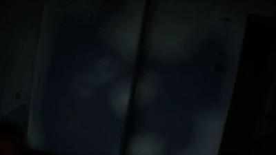 Rain Day (Short Flim) (WildLife)