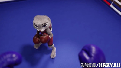 Fucking In The Ring - Hakya11