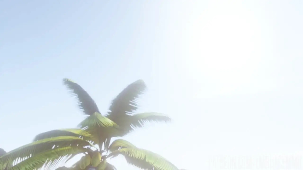 Land of Kirei: A Vore Tournament