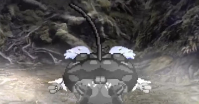 Blaziken pinned down and knocked up with kits