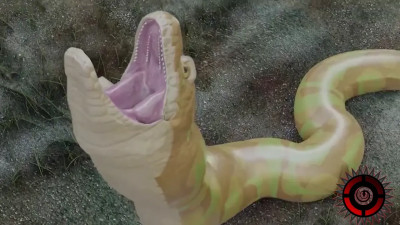 Snake vore (Oral Vore)+WITH SOUND)