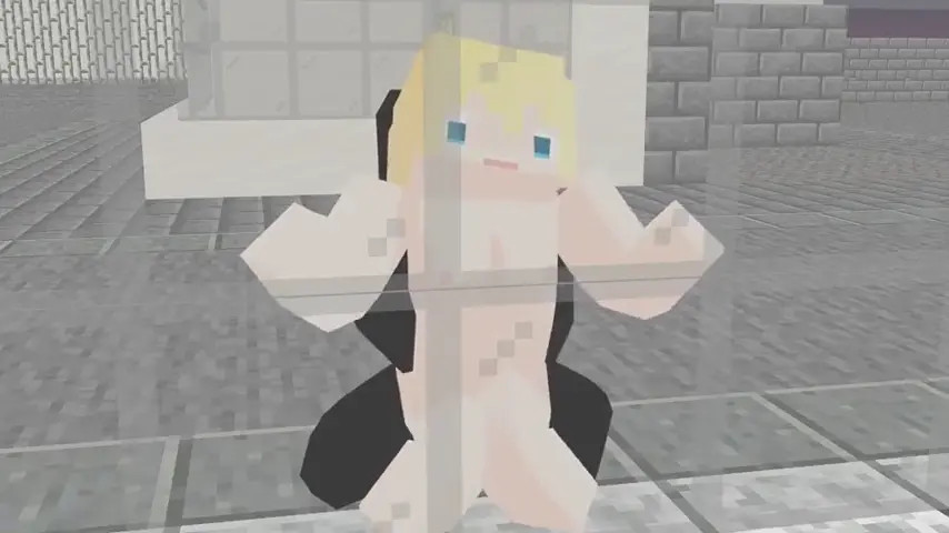 HMV-minecraft　Ⅱ