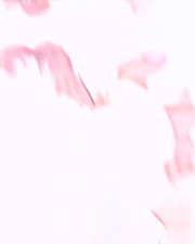 Black Guy Rating Waifu's HMV