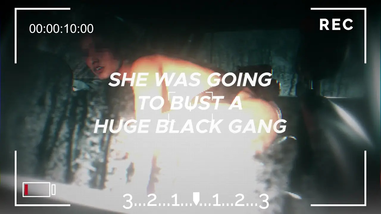 DETECTIVE MOM [2K] [SHORT]