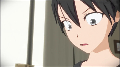 Sword Art Online Suguha x Kirito