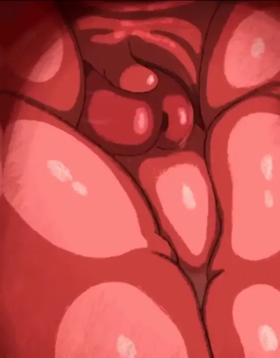 Meowscarada 2 - (Film/X-ray) [Domisket]