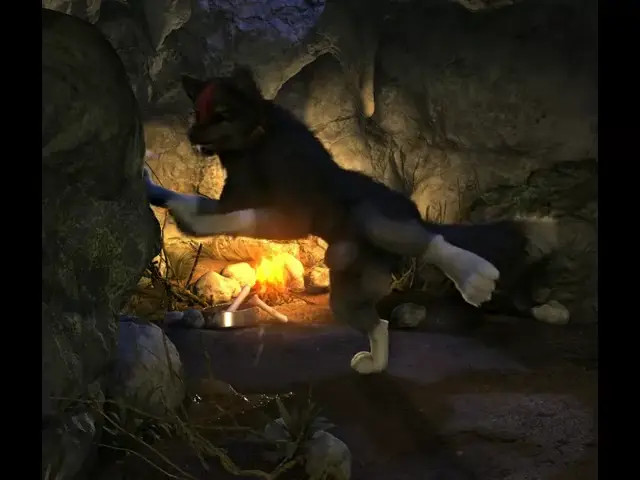 Huge dog cock (enorme Polla de Perro) H0RS3