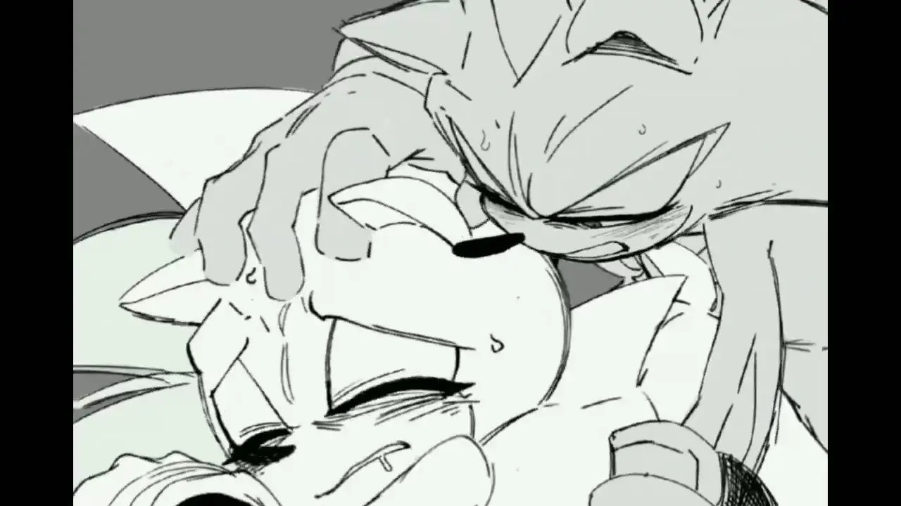 Sonic x shadow