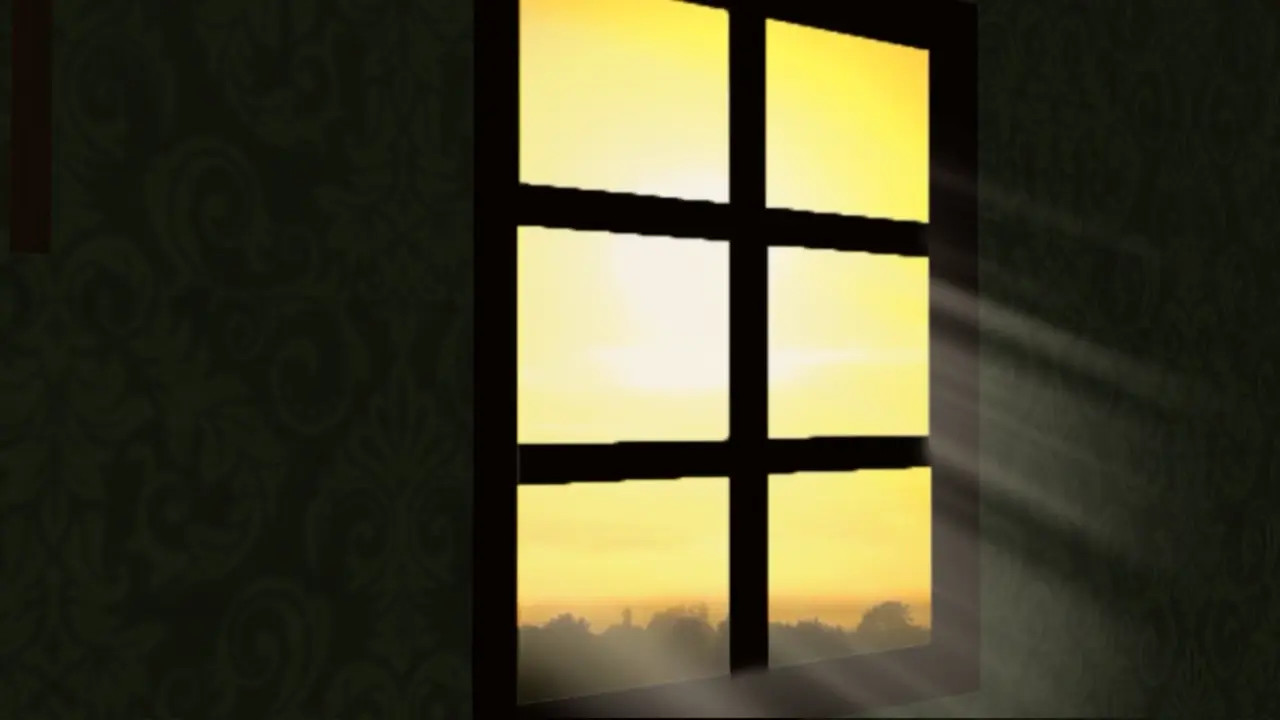 A day at the Obstetrician #1 (2024)