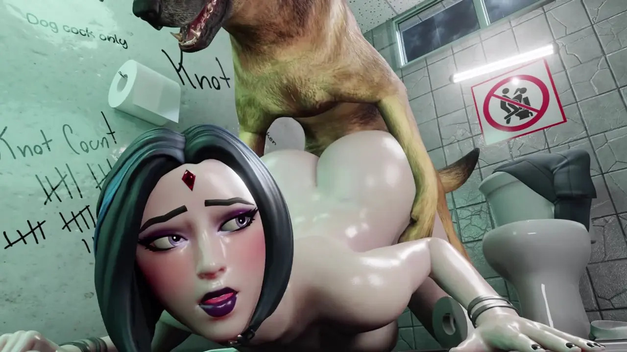 Bonkge dog compilation