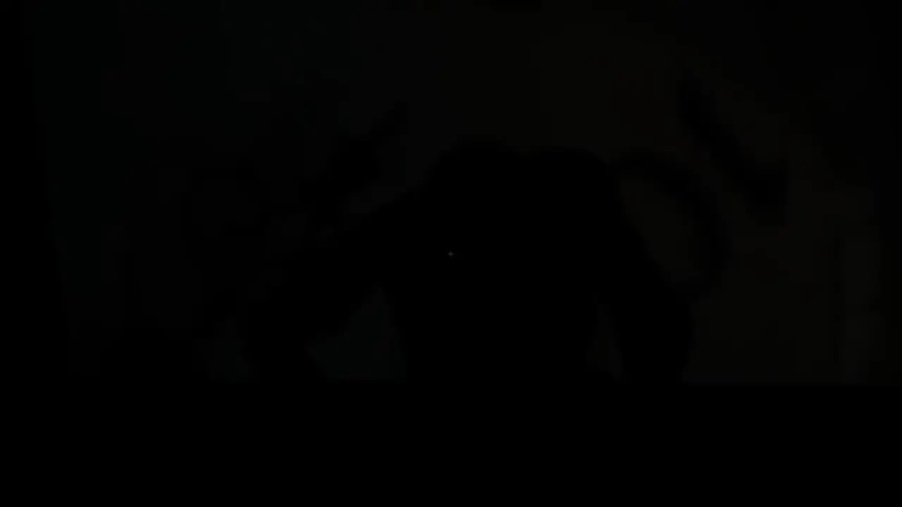 Cammy White compilation - Street fighter 6 [3D]