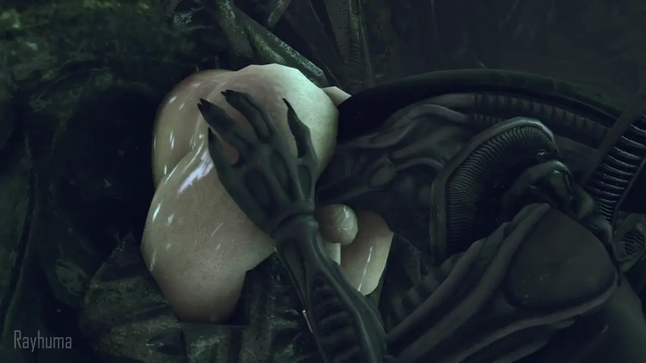 Xeno Dinner