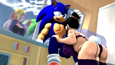 Sonic Breeding Chi Chi