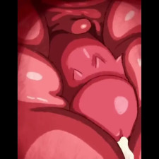 Mewscarada Protein Order