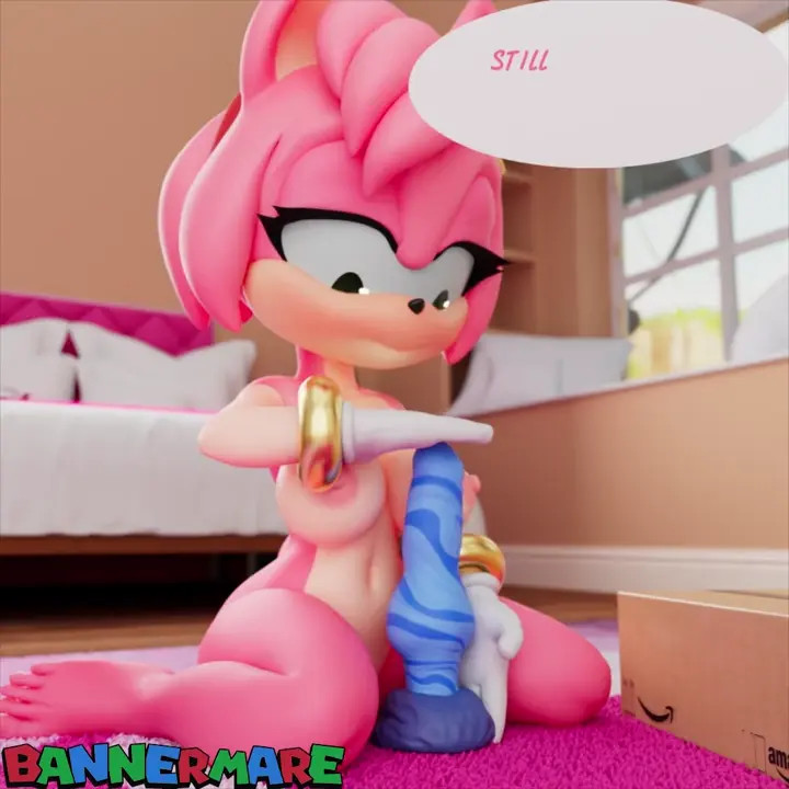 Amy's New Toy
