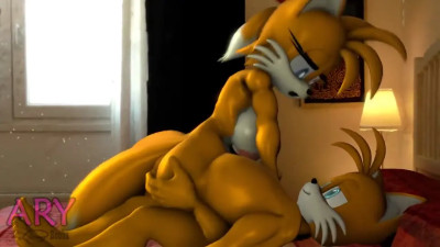 Tails x Tailsko