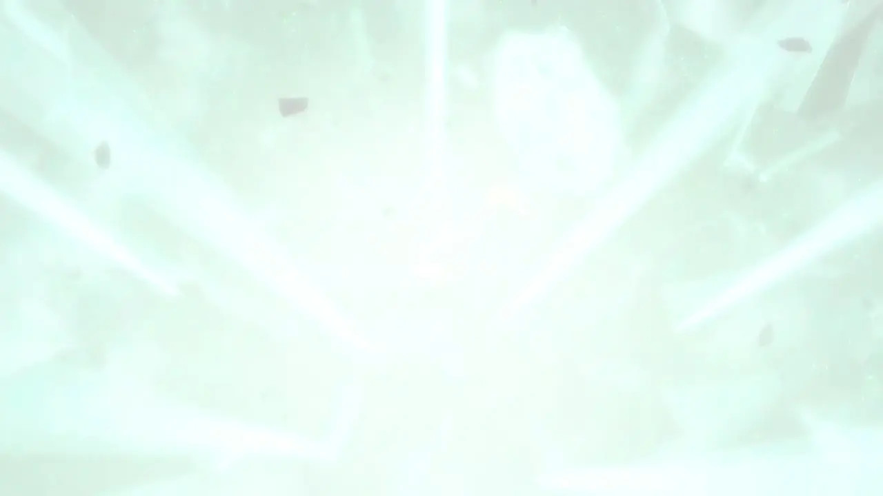 Vira nude ultimate skill 1 - Granblue Fantasy VSR