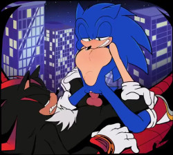 Sonic and Shadow [shaddycatz]