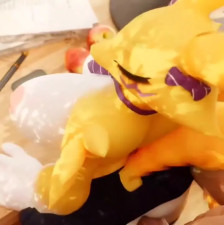 Mommy Renamon