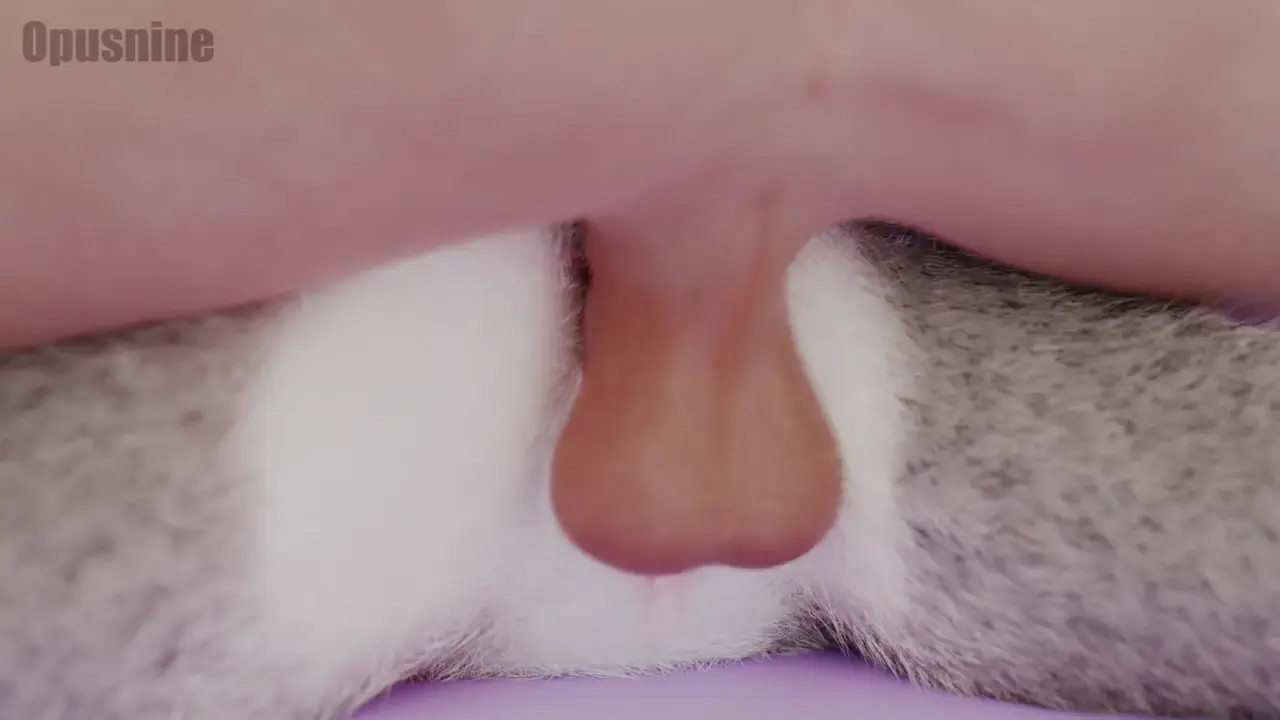 Judy creampied from behind