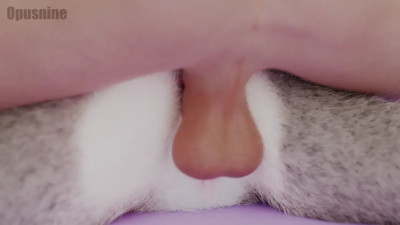 Judy creampied from behind