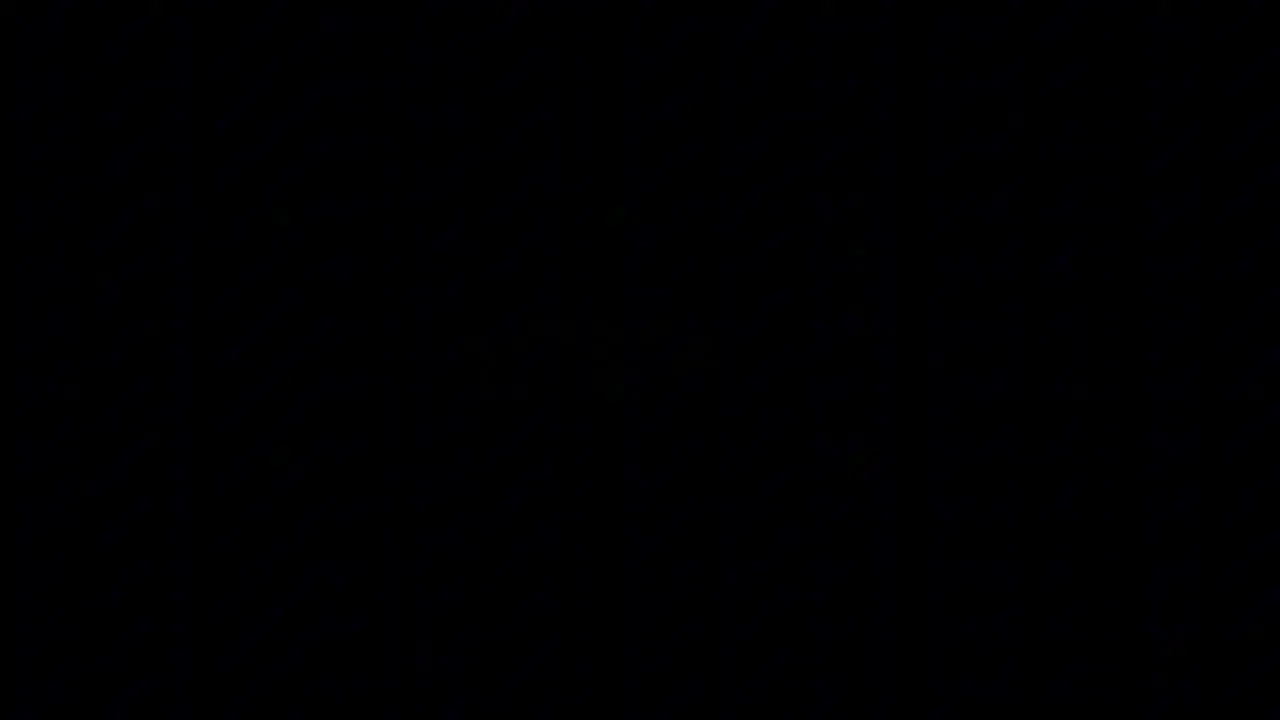 [Adler] Trigger and Anby