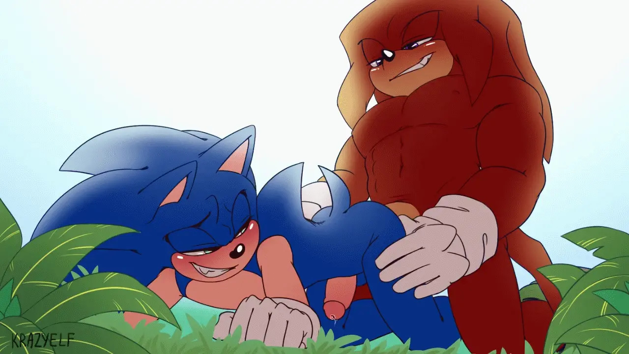 Knuckles fucking Sonic From Behind