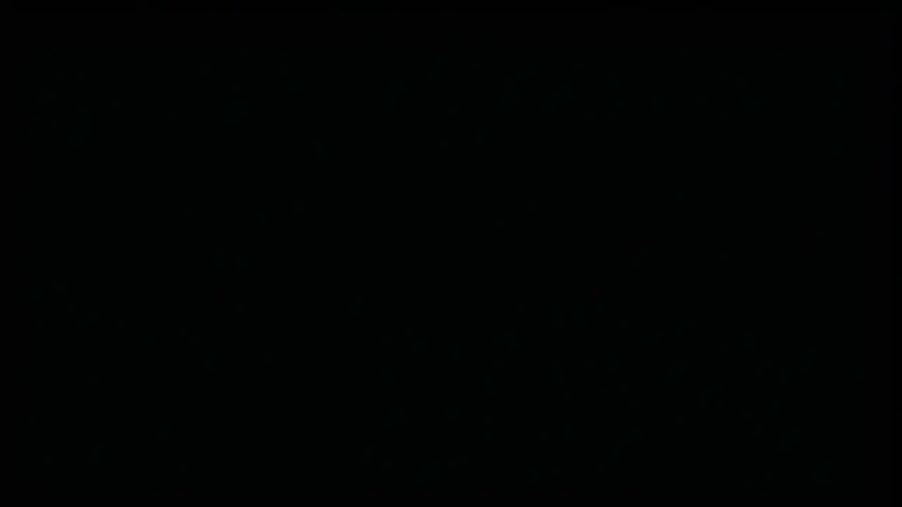 The Rabbit Neighbour.