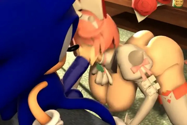 Elphelt blowjob Sonic