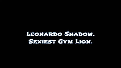 Leonardo Shadow: Sexiest Gym Lion