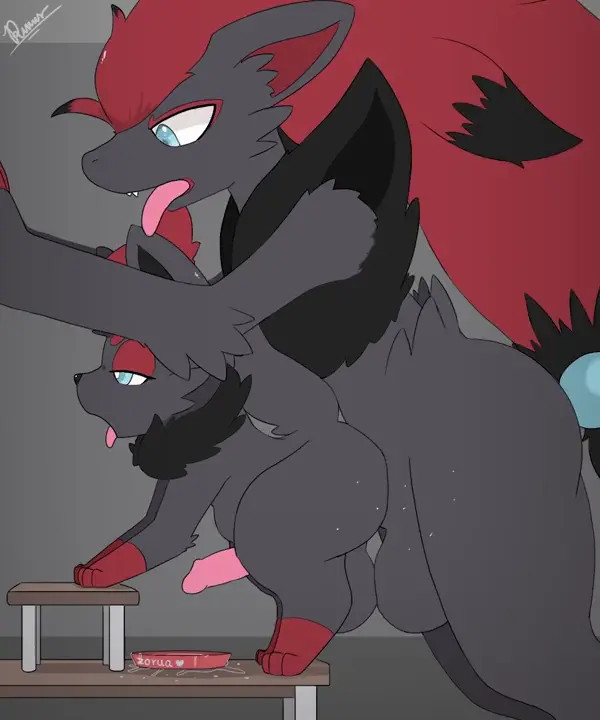 Zorak and Zorua