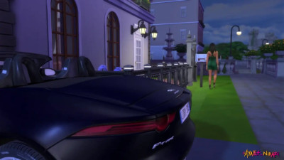 Meet The Maxwells Part 1