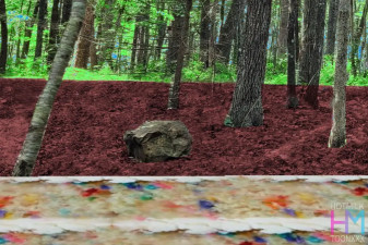 Foxy Fables: When the Witch Gots the Hots