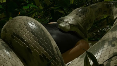 Jungle Competition Part 1