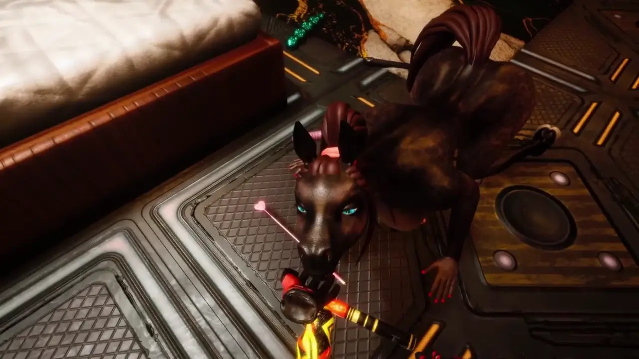 Entertainment at the Hotel Elera