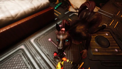 Entertainment at the Hotel Elera