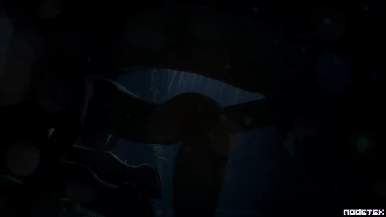 A night in the stables