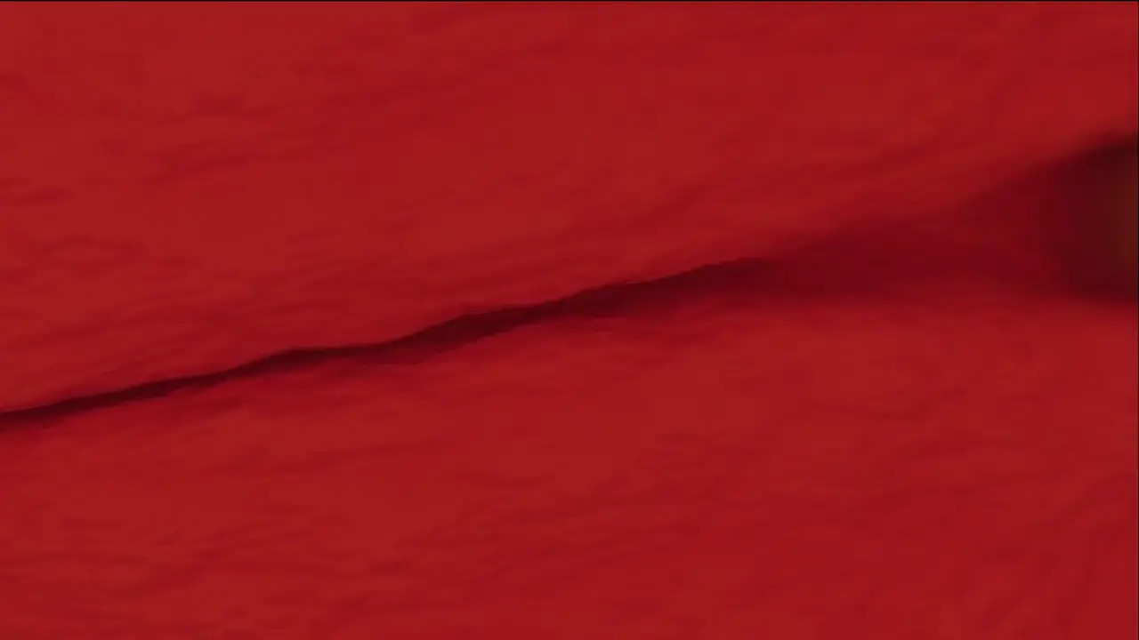 Yeah, look at that pretty little thing in the mirror. He likes it rough, huh?